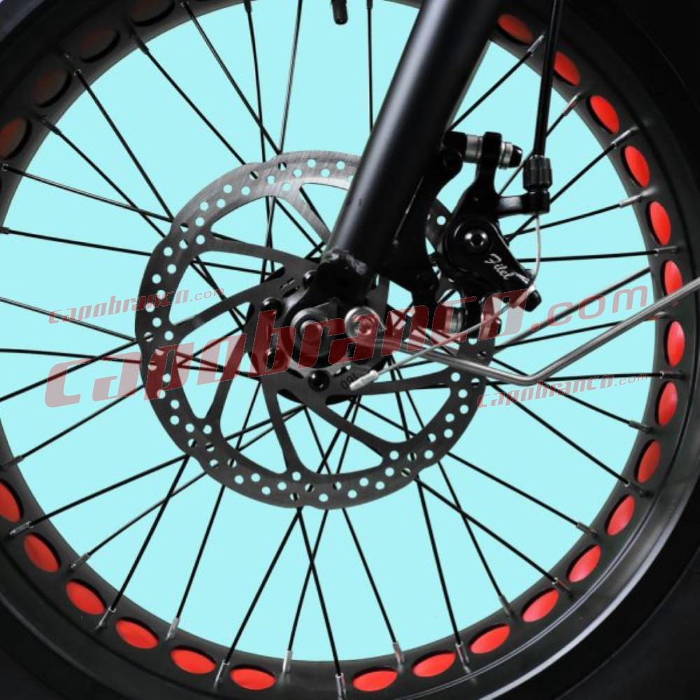 Fat Bike DME Vulcano 250w 36v 10Ah  2.8.3