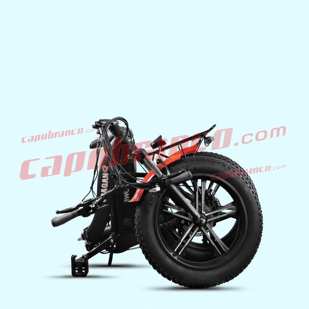 Fat Bike Capuano 01 internal E-Bike battery