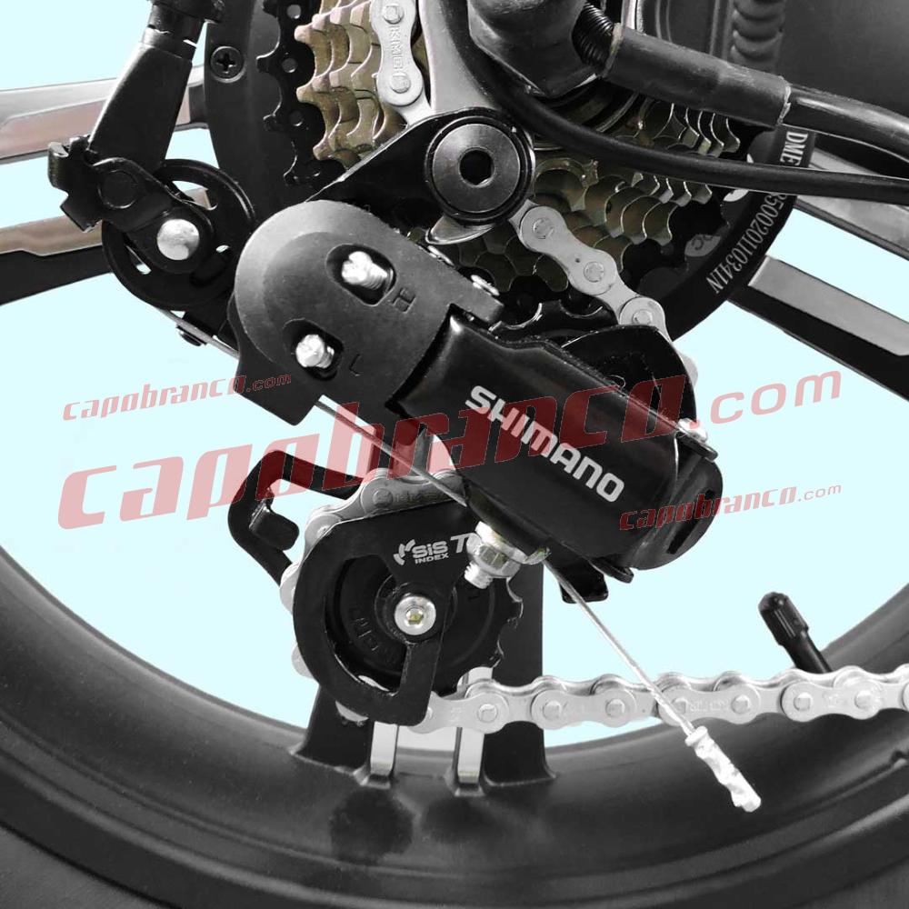 Fat Bike Capuano 01 internal E-Bike battery