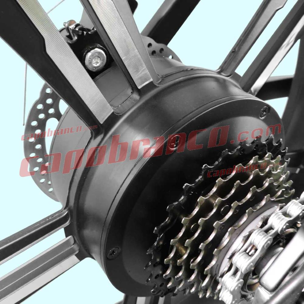 Fat Bike Capuano 01 internal E-Bike battery