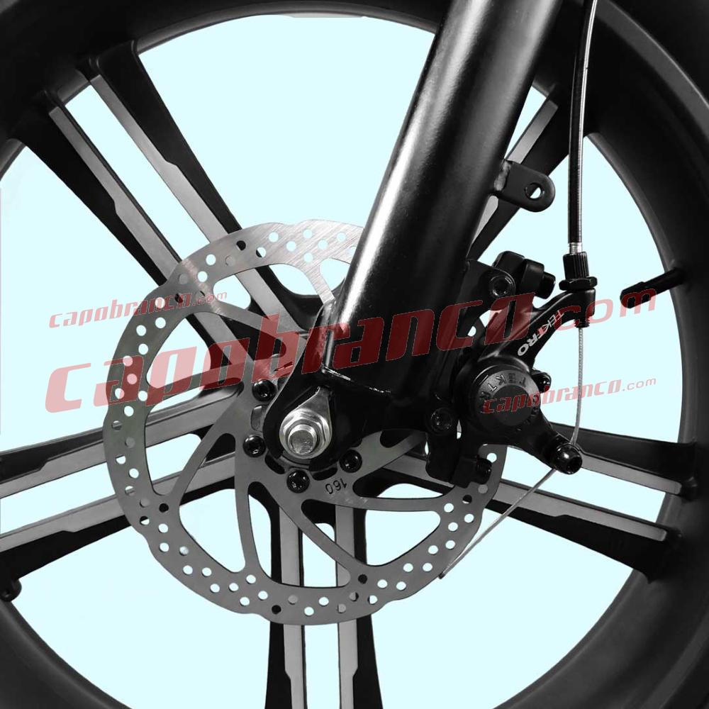 Fat Bike Capuano 01 internal E-Bike battery