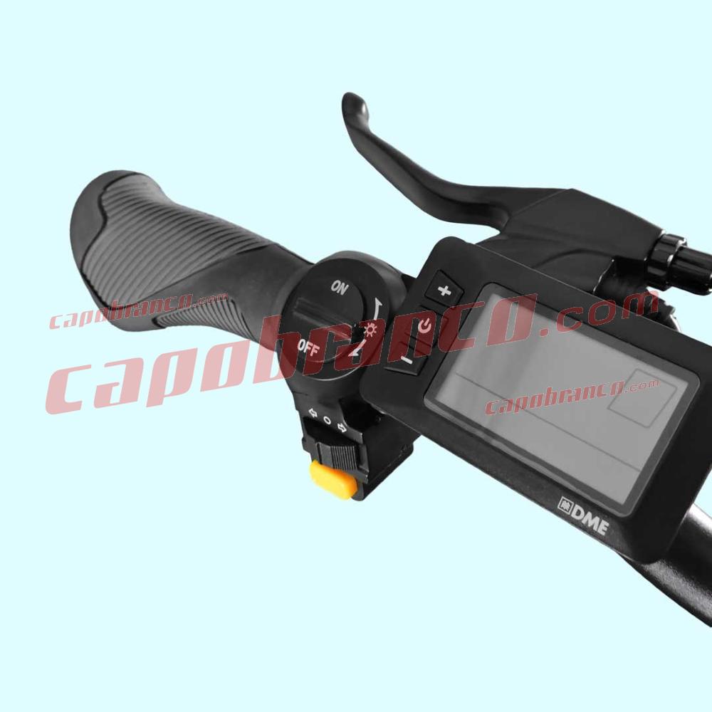 Fat Bike Capuano 01 internal E-Bike battery