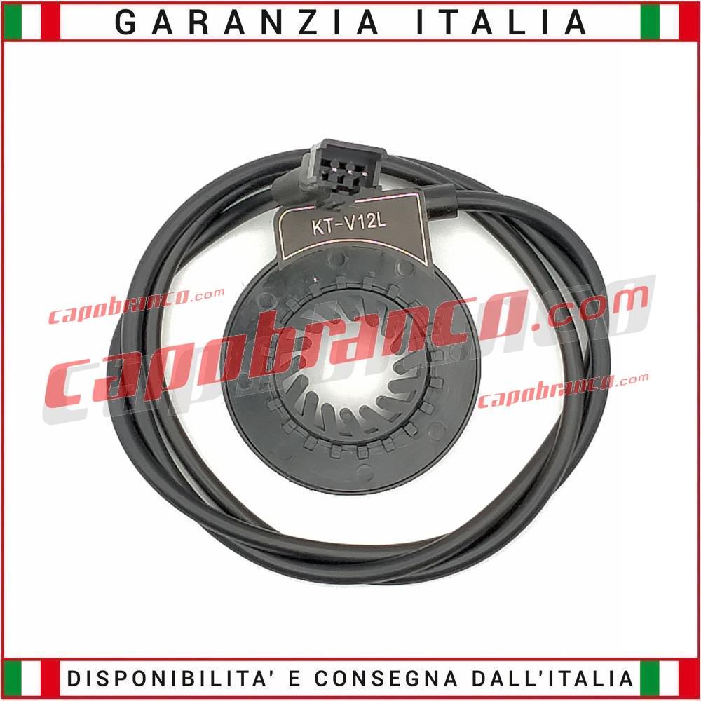 Display Acceleratore Centralina monopattino bici elettrica motori brushless  800w