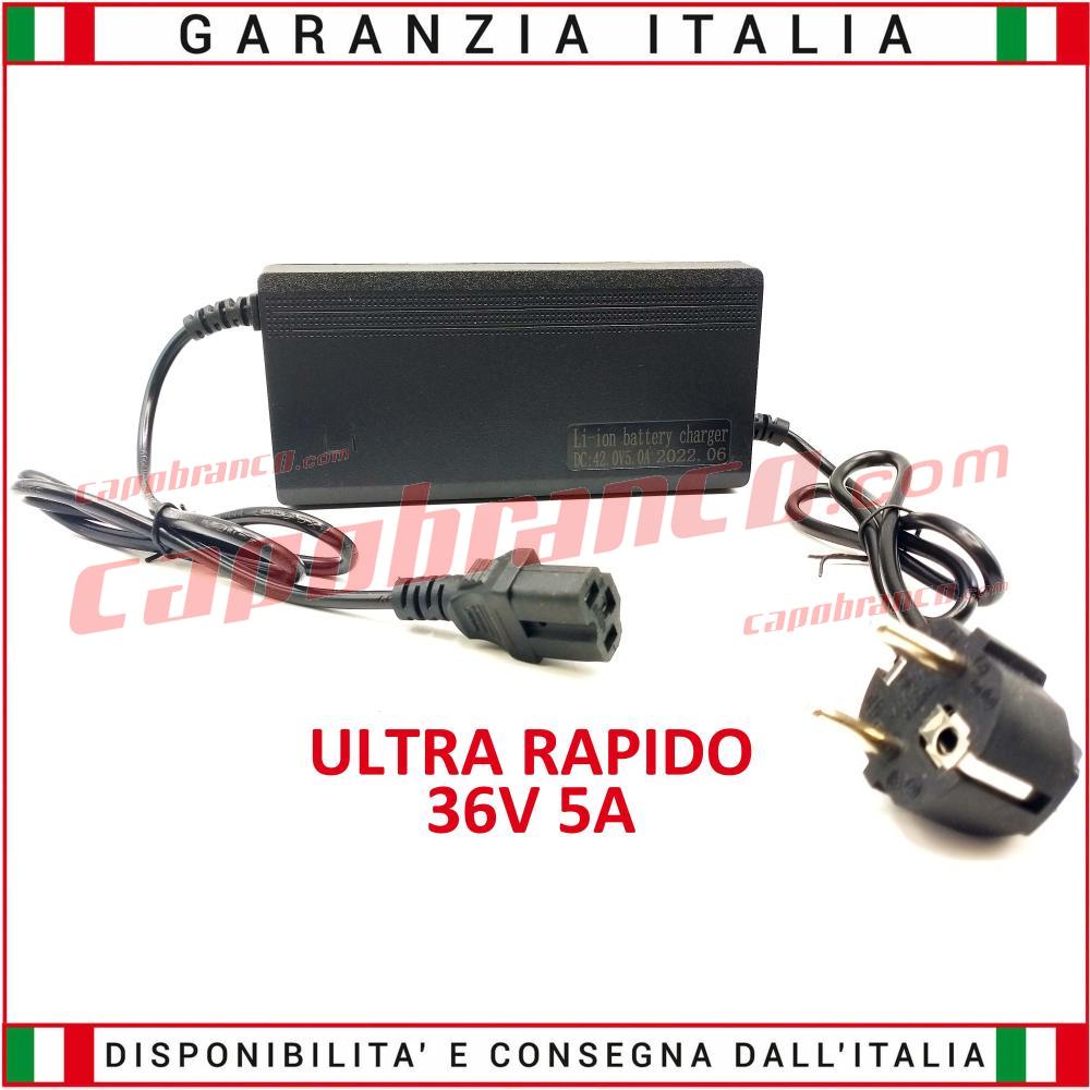 Capobranco Shop - Prodotto: LBC36V5A - Caricabatterie ultra rapido per  batterie al LITIO 36V 5A - Capobranco (CARICABATTERIE-LITIO - 36V);