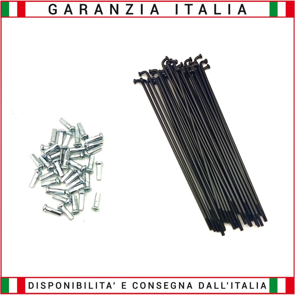 36 Raggi RSIII Florida + Nipples