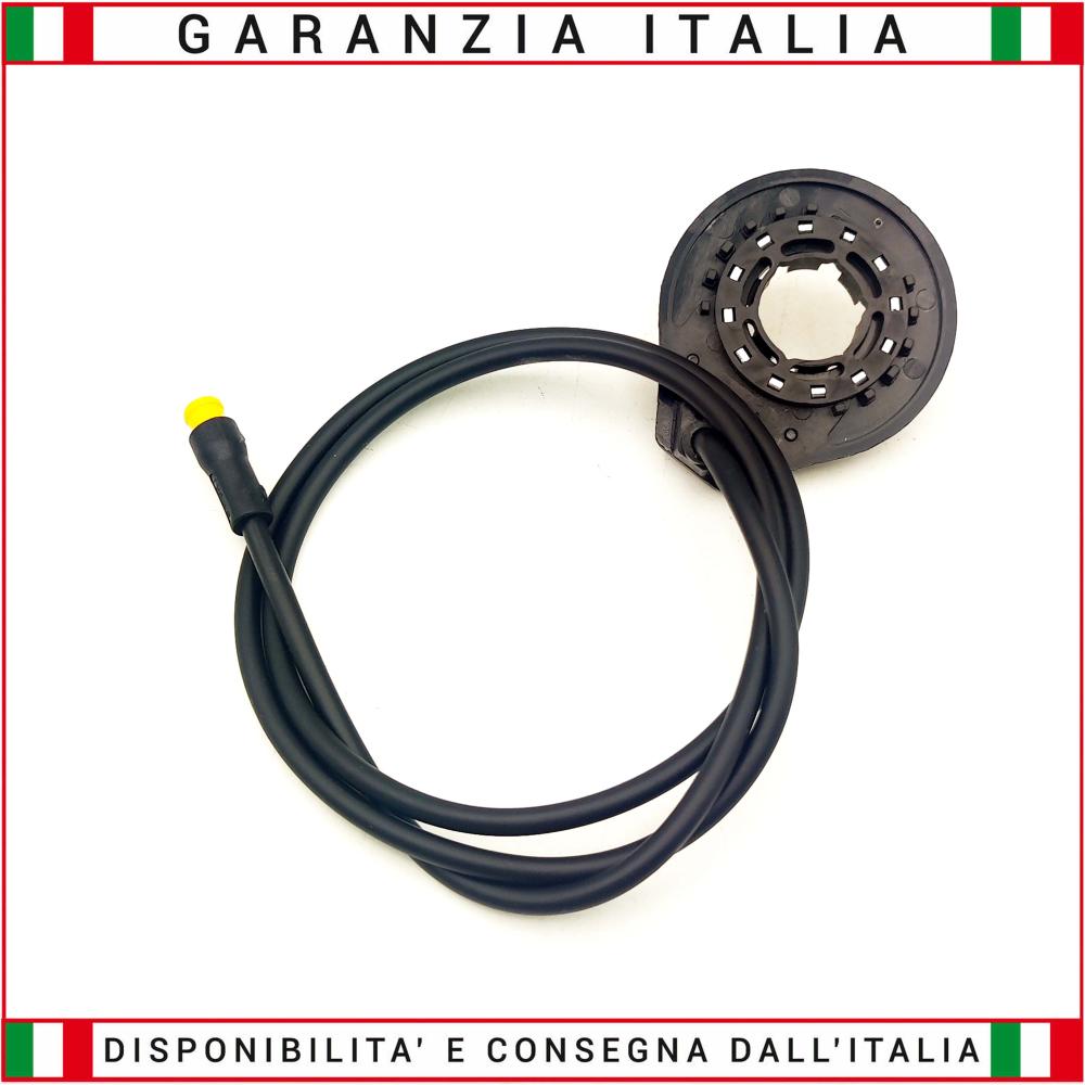 Pedal assisted pas for RKS RSIII electric bike