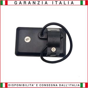 Color LCD display for RKS RSIII electric bike