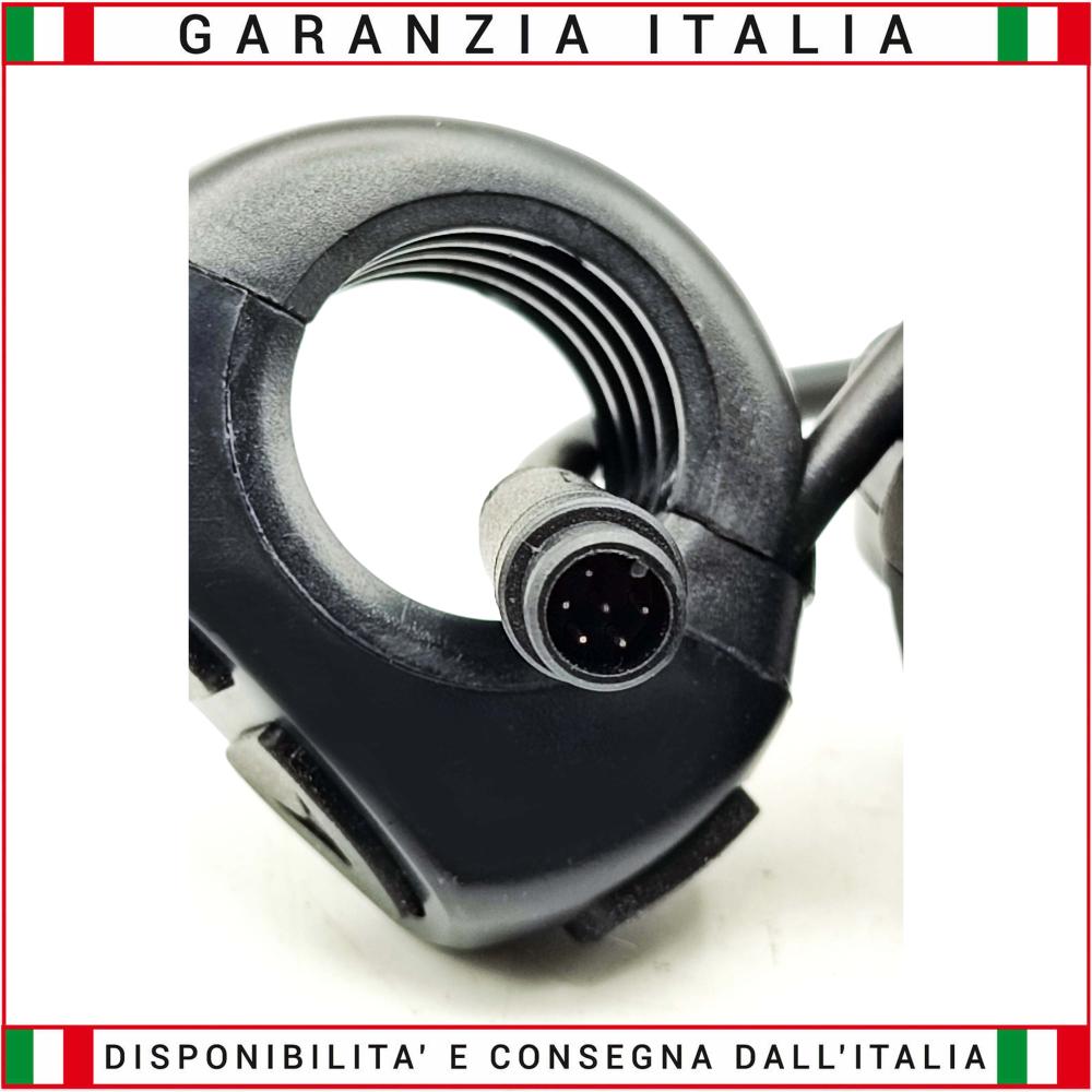 Display Color RKS Mustang RSIV