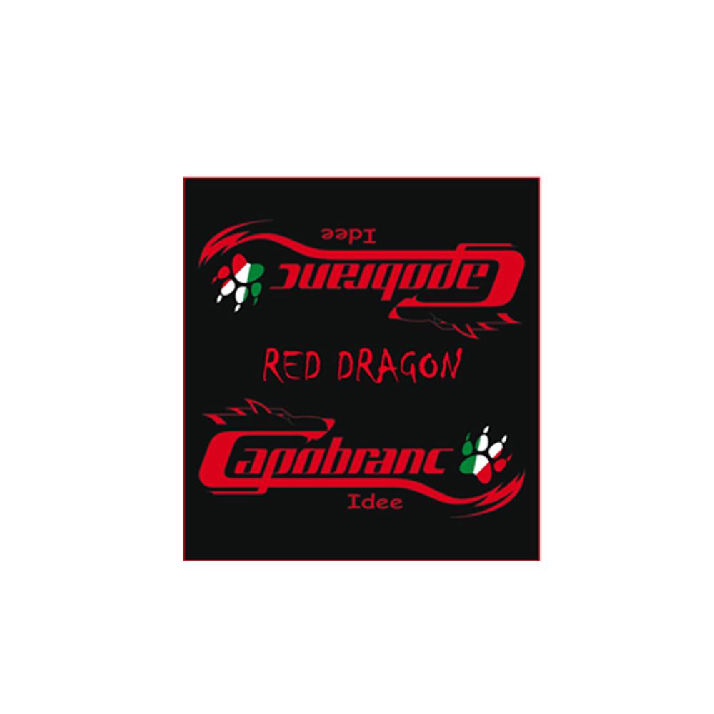 Kit adesivi Monopattino Elettrico RED DRAGON