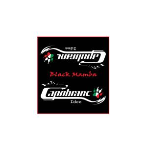 Kit adesivi Monopattino Elettrico BLACK MAMBA