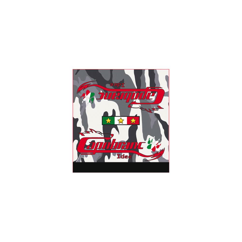 Kit adesivi Monopattino Elettrico MILITARY WHITE