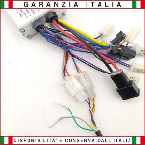 Centralina 48V 1000/1600W per motori con spazzole (BRUSHED)