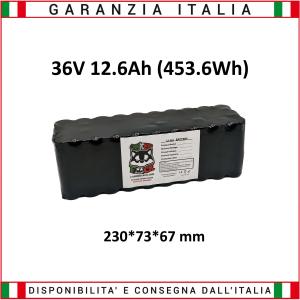 Interno Batteria 36 Volt 12.6 Ah Litio (453.6 Wh)