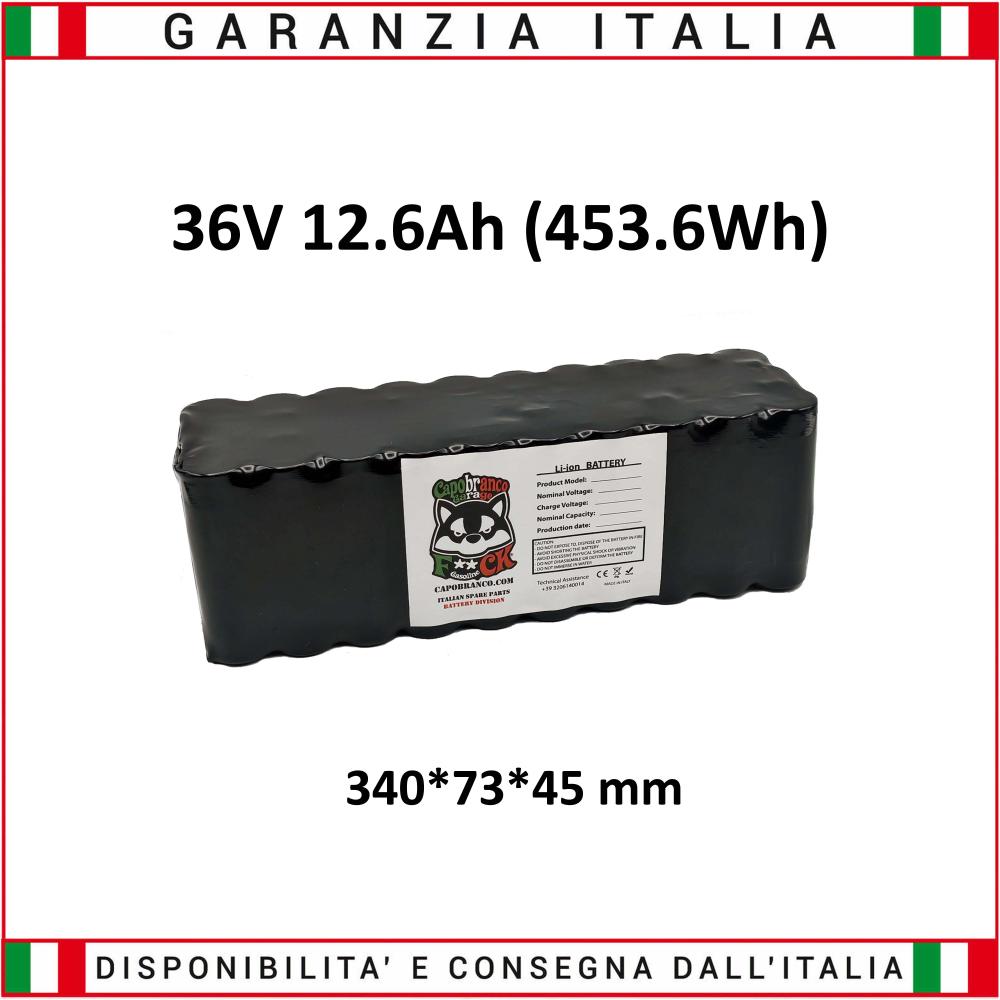 Interno Batteria 36 Volt 12.6 Ah Litio (453.6 Wh)