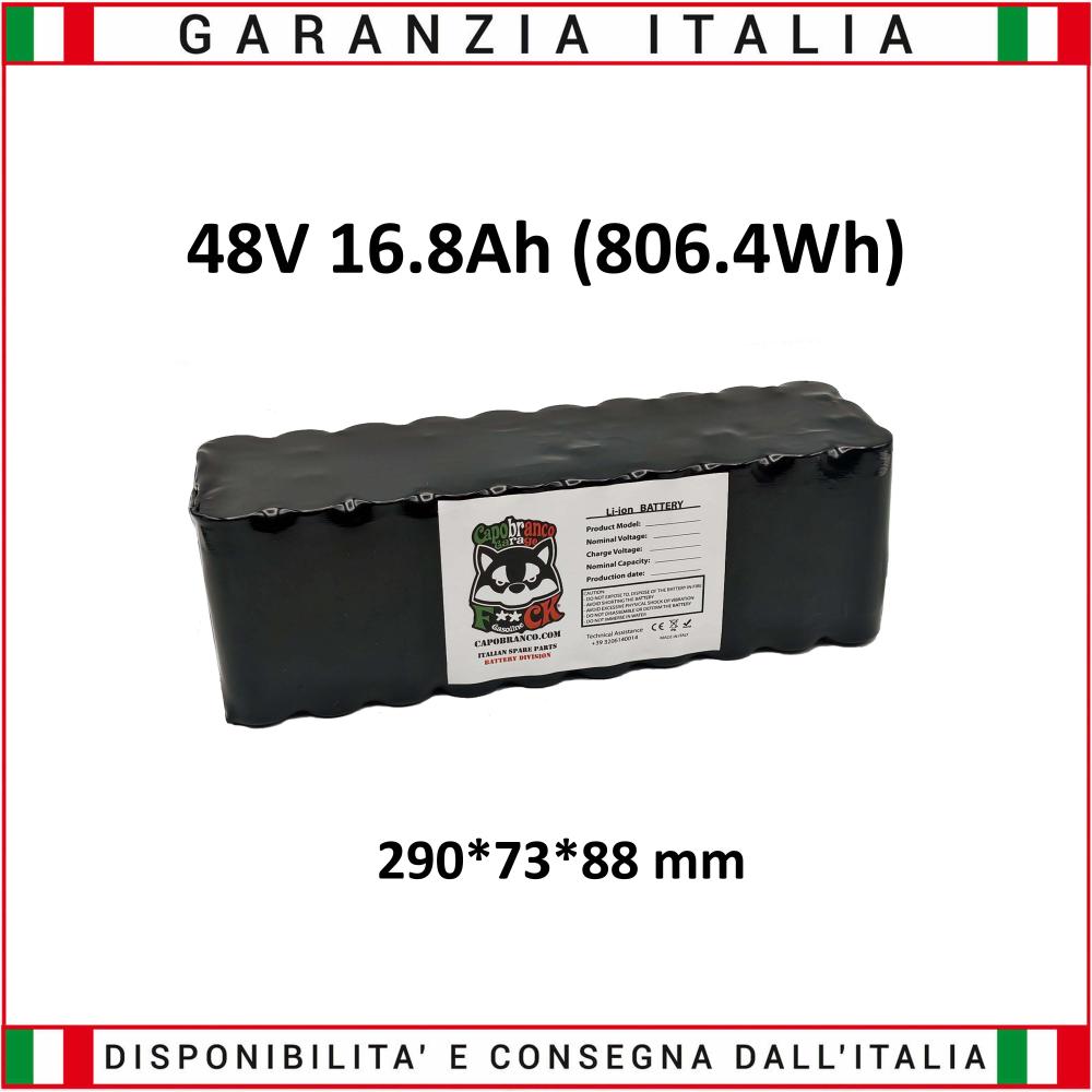Interno Batteria 48 Volt 16.8 Ah Litio (806.4 Wh)
