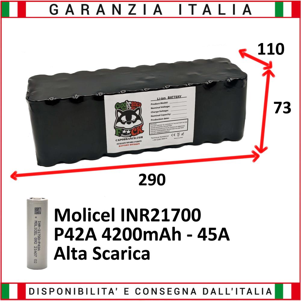 Internal Battery 48 Volt 21 Ah Lithium (1008 Wh)