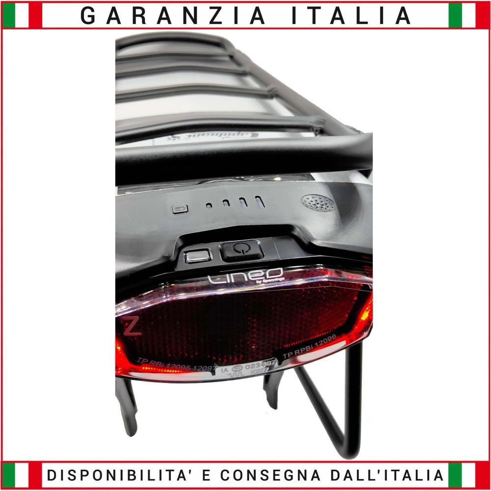 Batteria litio per bici elettrica con portapacchi posteriore 48 volt 14Ah 