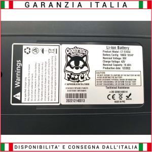 Batteria Portapacchi Litio 36 Volt 10.4 Ah (374.4Wh) Bici Elettrica