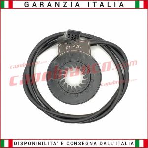 Kit Centralina + Display LCD8YNC + Pas Universale 36/48V 22A Motori Brushless