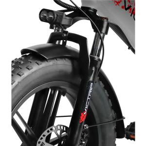 Fat Bike Victrip T5 48V 250W (750W PICCO)