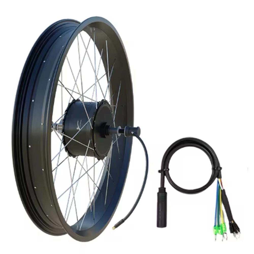 Motore 48V 750W Cerchio Raggi 20x4"