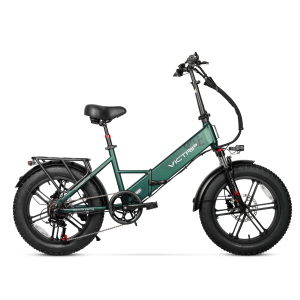 FAT BIKE VICTRIP T5S 48V 250W (750W PEAK)