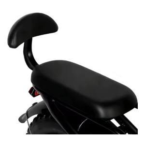 Fat Bike VICTRIP R5 48V 20Ah 250W (1000W PICCO)