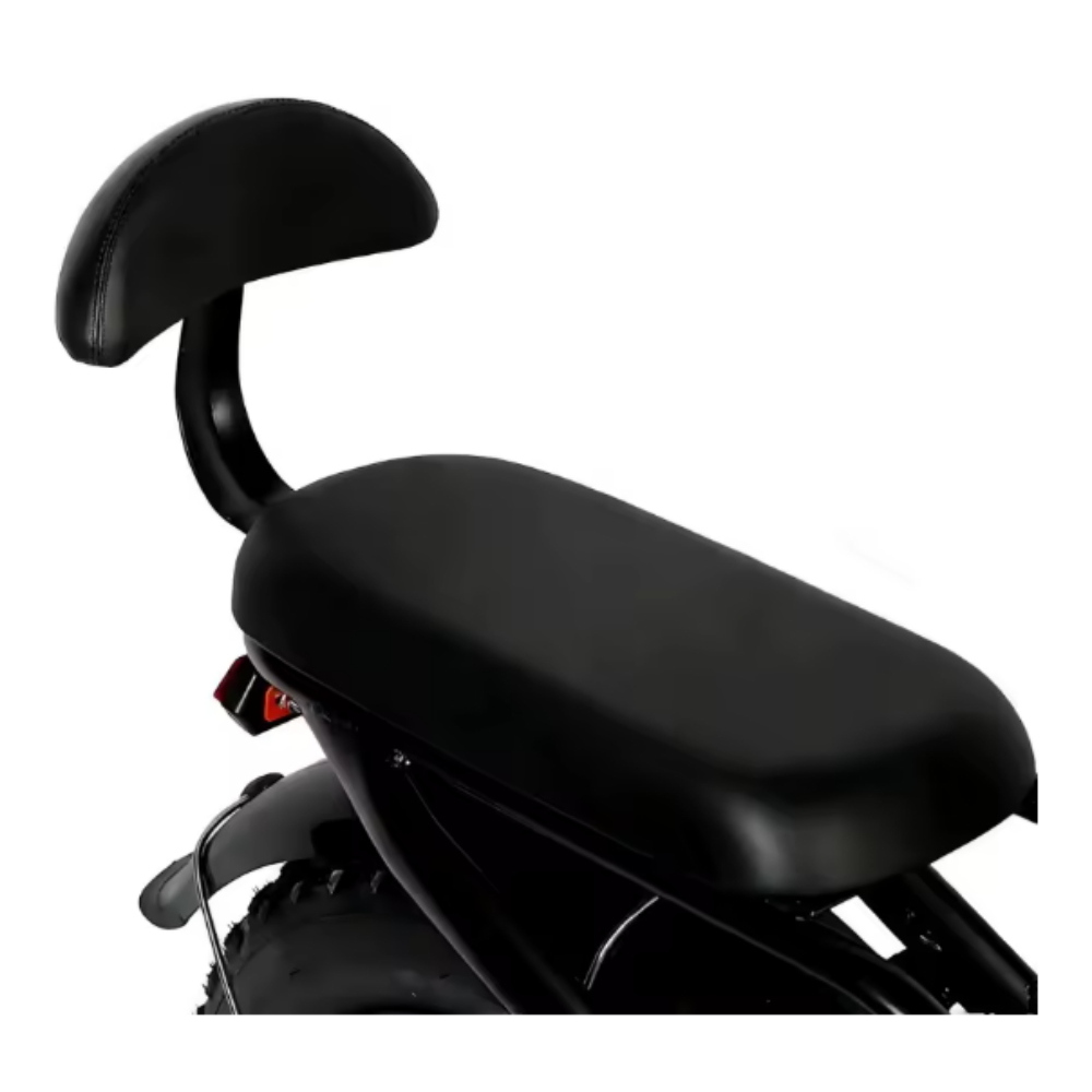 Fat Bike VICTRIP R5 48V 20Ah 250W (1000W PICCO)