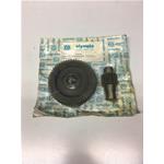 COPPIA INGRANAGGI OLYMPIA Z15/55 PER PIAGGIO LIBERTY COD. 55694