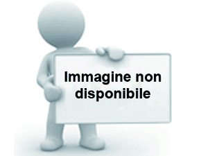 RONDELLA INGRANAGGIO TRASMISSIONE ORIG. APRILIA COD.AP8510819 PER SCARABEO 100