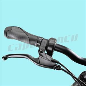 Fat Bike DME Vulcano 250w 36v 10Ah  2.8.3