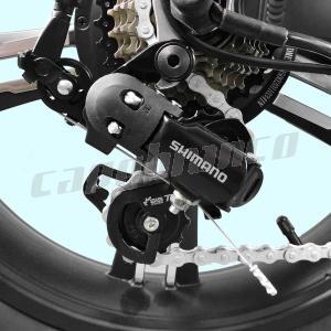 Fat Bike Capuano 01 internal E-Bike battery