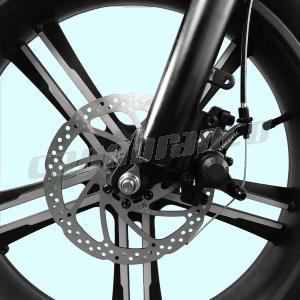 Fat Bike Capuano 01 internal E-Bike battery