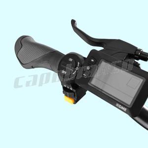 Fat Bike Capuano 01 internal E-Bike battery